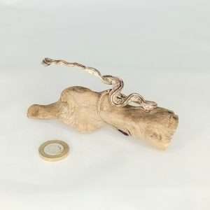 Taxidermy Small Corn Snake. Log no 131.