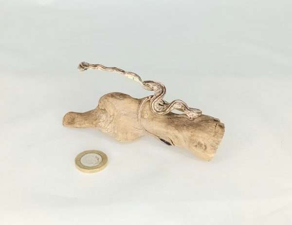 Taxidermy Small Corn Snake. Log no 131.