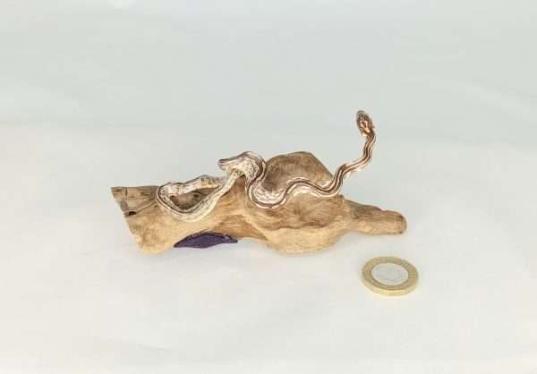 Taxidermy Small Corn Snake. Log no 131. - Image 3
