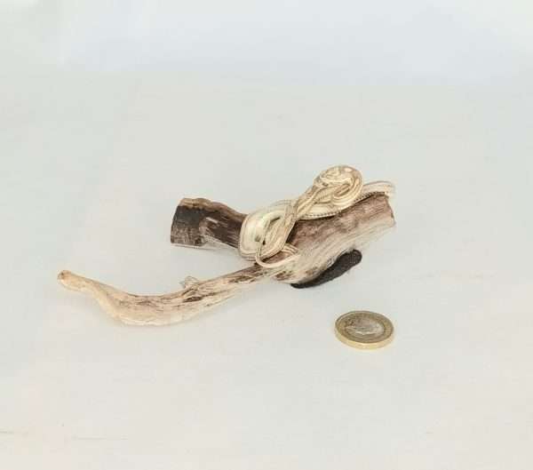 Taxidermy Four Lined Snake. Log no 090. - Image 2