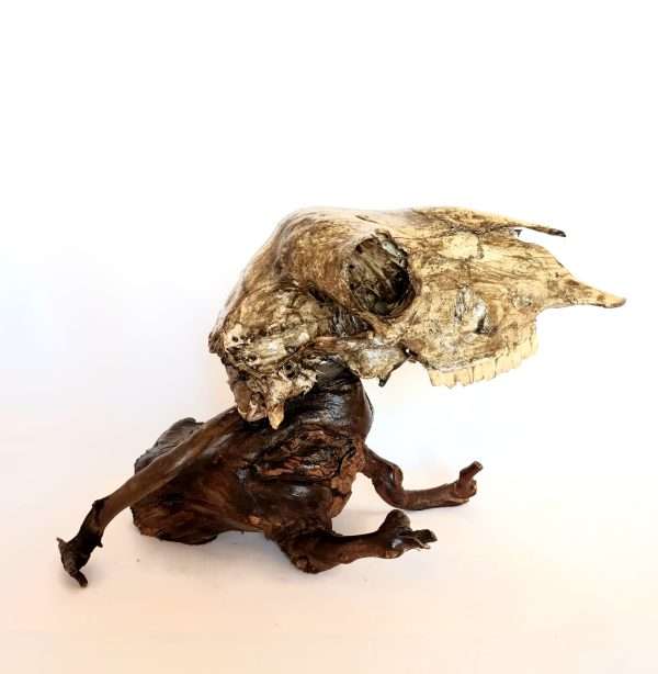 Taxidermy Mystical Creature. Log No 037. - Image 2