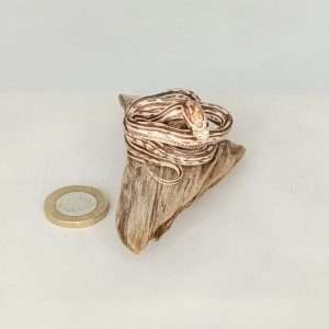 Taxidermy Small Corn Snake. Log no 200.