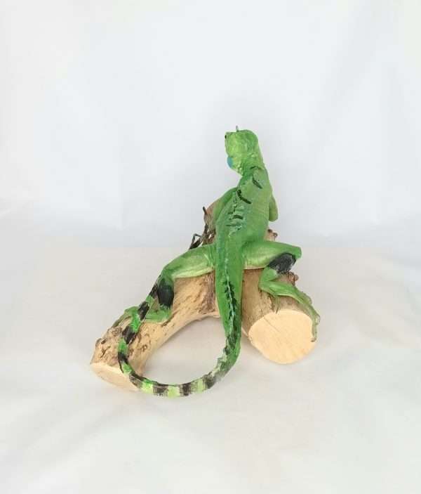 Taxidermy Plumed Basilisk. Log no 257. - Image 2