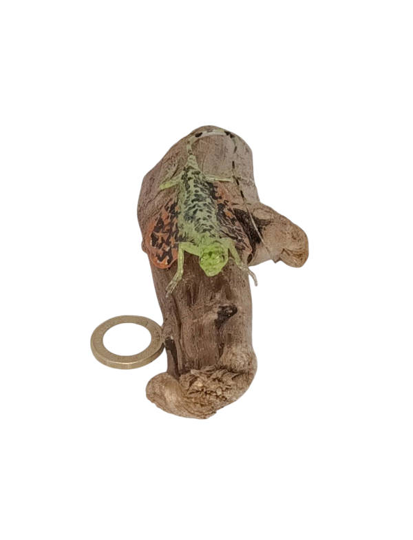 Taxidermy Flying Lizard. Log no 83. - Image 4