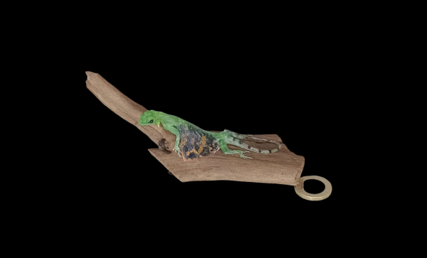 Taxidermy Flying Lizard. Log no 87.