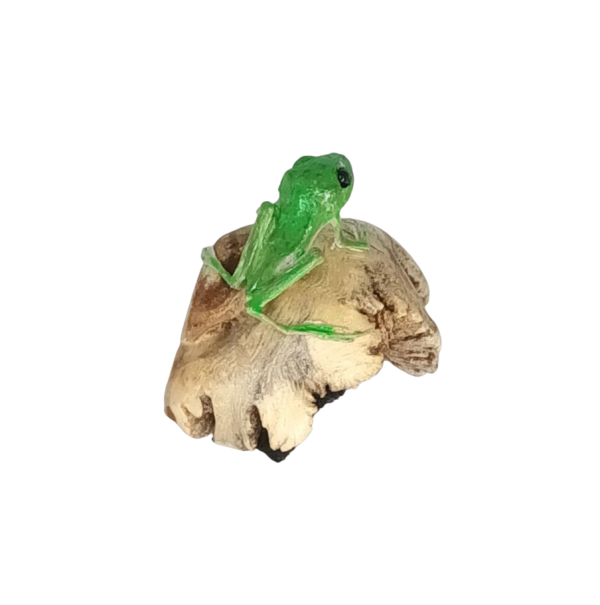 Taxidermy Green Tree Frog. Log no 162. - Image 2